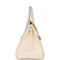 Hermes Birkin 35 Nata Clemence Gold Hardware