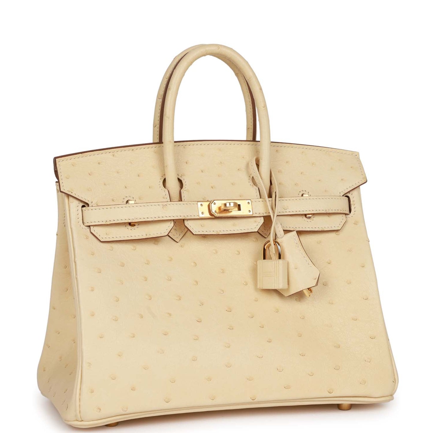 Luxury Hermes Birkin 25 Vanille Ostrich Boreal Gold Hardware