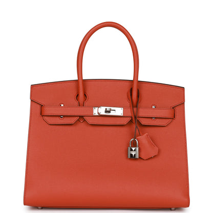 Luxury Hermes Birkin Sellier 30 Terre Battue Epsom Palladium Hardware