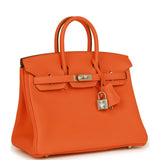 Luxury Hermes Birkin 25 Orange Minium Togo Palladium Hardware
