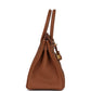 Hermes Birkin 30 Gold Togo Gold Hardware
