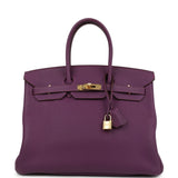 Hermes Birkin 35 Anemone Togo Gold Hardware