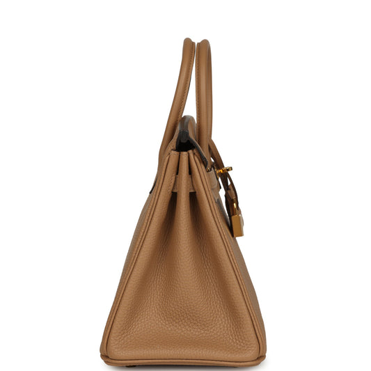 Hermes Birkin 25 Chai Togo Gold Hardware