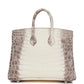 Luxury Hermes Birkin 25 Himalaya Niloticus Crocodile Diamond Encrusted Hardware