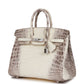 Luxury Hermes Birkin 25 Himalaya Niloticus Crocodile Diamond Encrusted Hardware