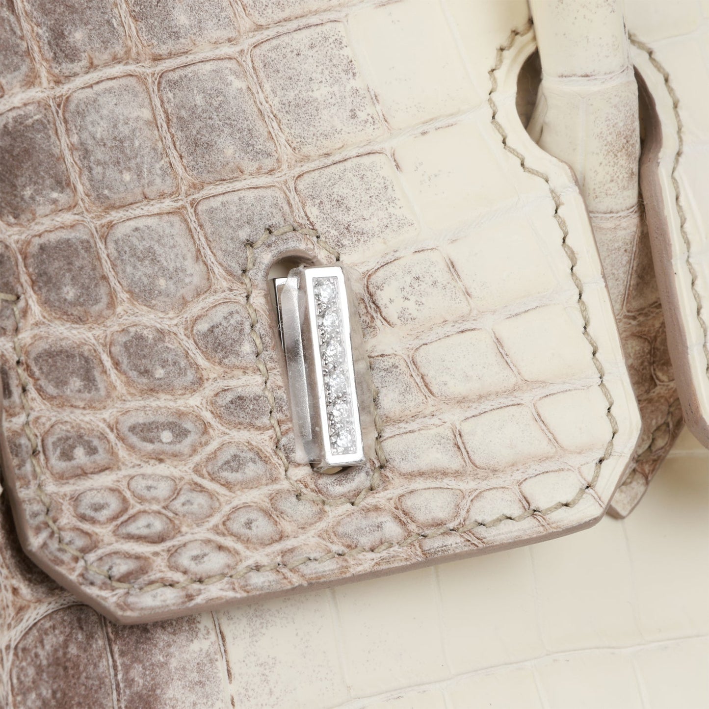 Luxury Hermes Birkin 25 Himalaya Niloticus Crocodile Diamond Encrusted Hardware