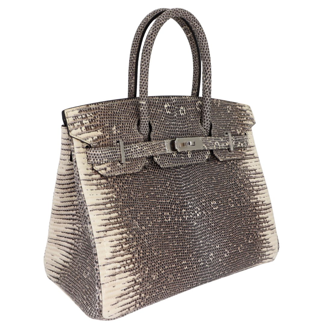 Hermès 30cm Birkin Ombré Lizard Palladium Hardware