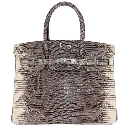 Hermès 30cm Birkin Ombré Lizard Palladium Hardware