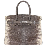 Hermès 30cm Birkin Ombré Lizard Palladium Hardware