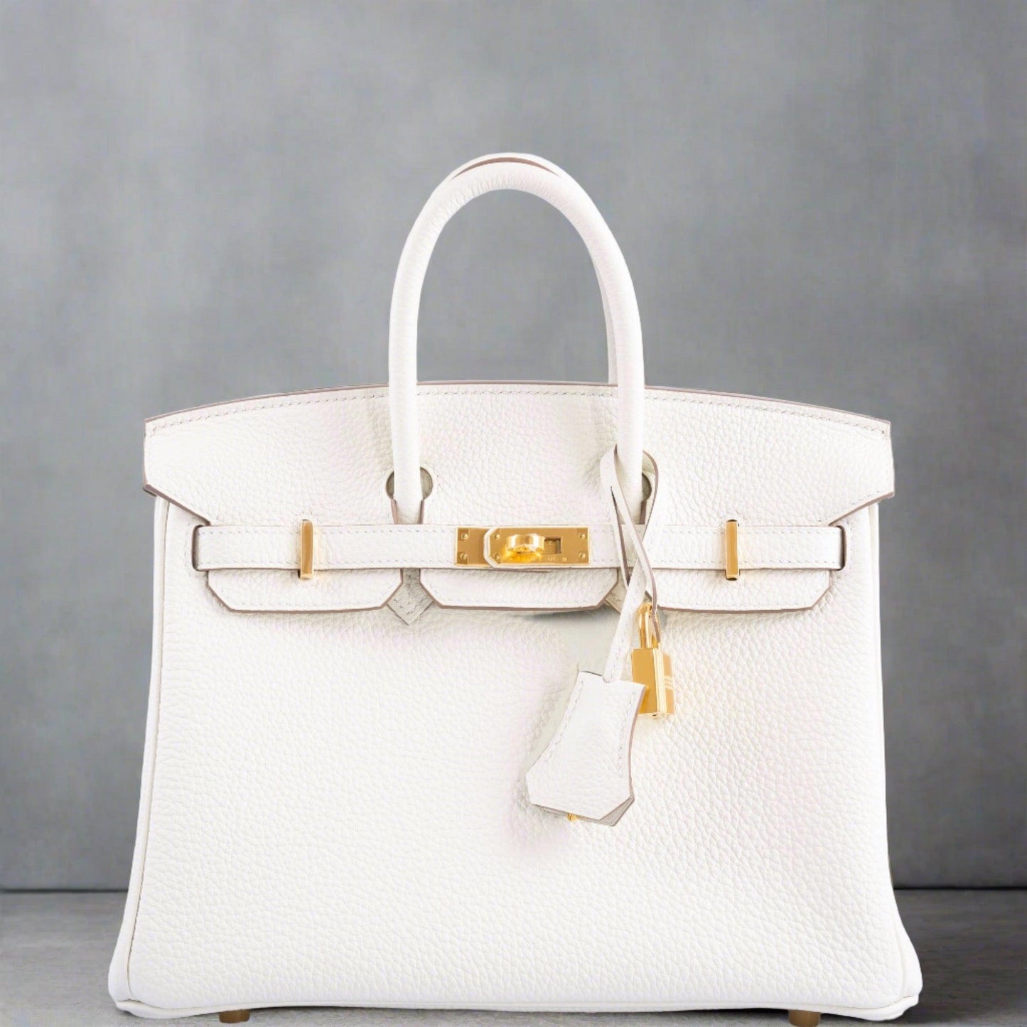 Hermès Birkin 25 Mushroom Togo Gold Hardware