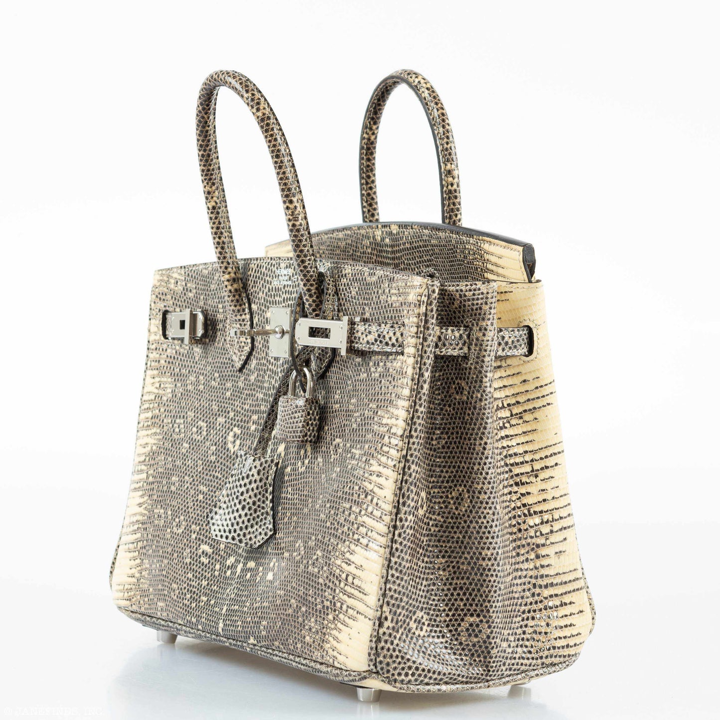 Hermès Birkin 25 Ombre Lizard Palladium Hardware - Rare