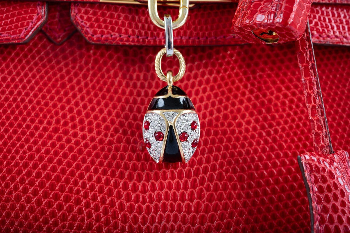 Hermès Birkin 25 Rouge Vif Salvator Lizard Gold Hardware