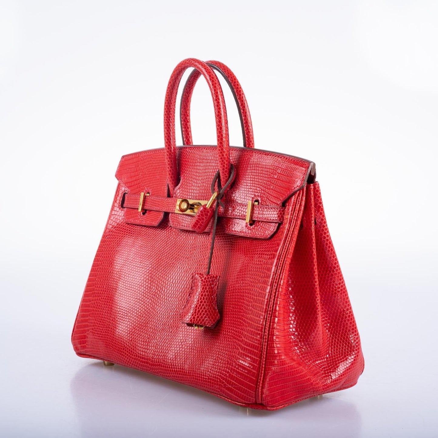 Hermès Birkin 25 Rouge Vif Salvator Lizard Gold Hardware
