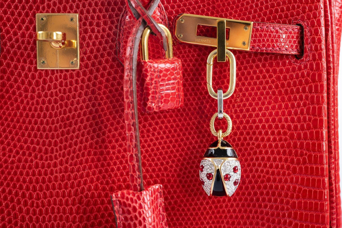 Hermès Birkin 25 Rouge Vif Salvator Lizard Gold Hardware
