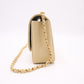 Chanel Medium Diana in Beige Leather