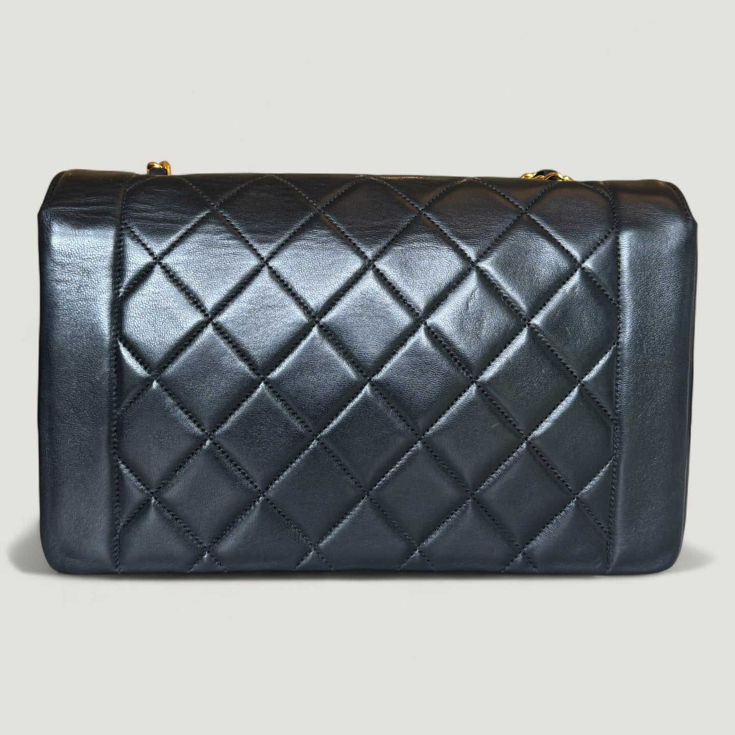 CHANEL DIANA MEDIUM BAG