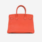 Birkin 30 - Rose Jaipur