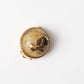 Chanel Gold Plated since 1980 Earring