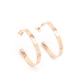 Louis Vuitton Nanogram Hoop Earrings