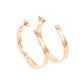 Louis Vuitton Nanogram Hoop Earrings