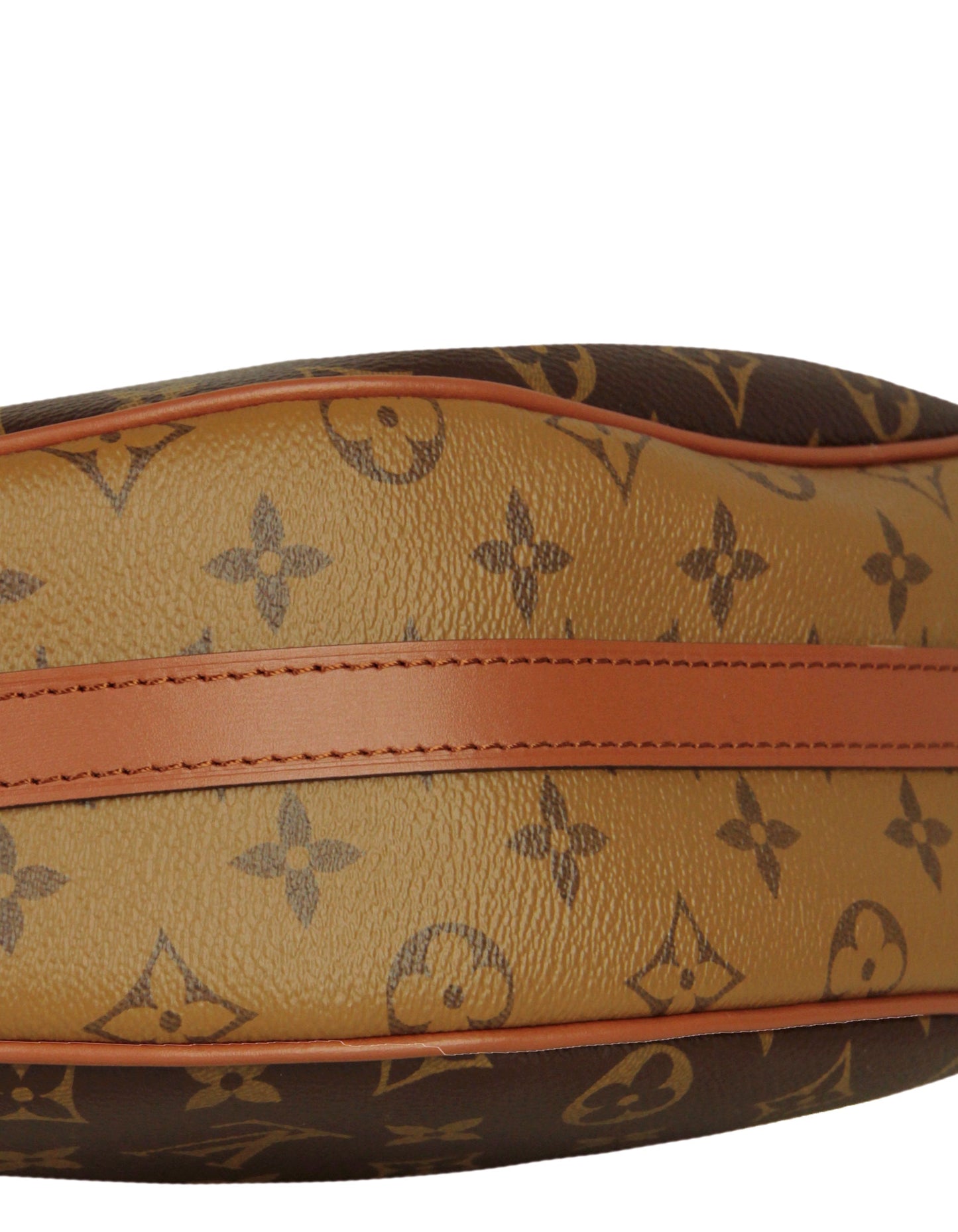 Louis Vuitton Reverse Monogram Loop Hobo