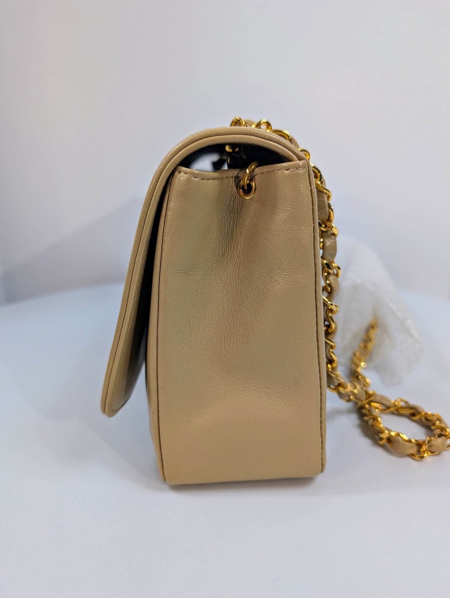 Chanel   (1 series) Beige Classic Early Diana Single Flap Bag