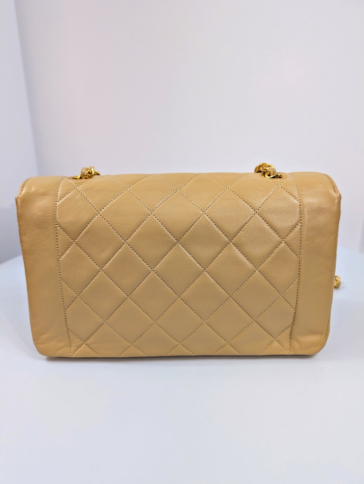 Chanel   (1 series) Beige Classic Early Diana Single Flap Bag