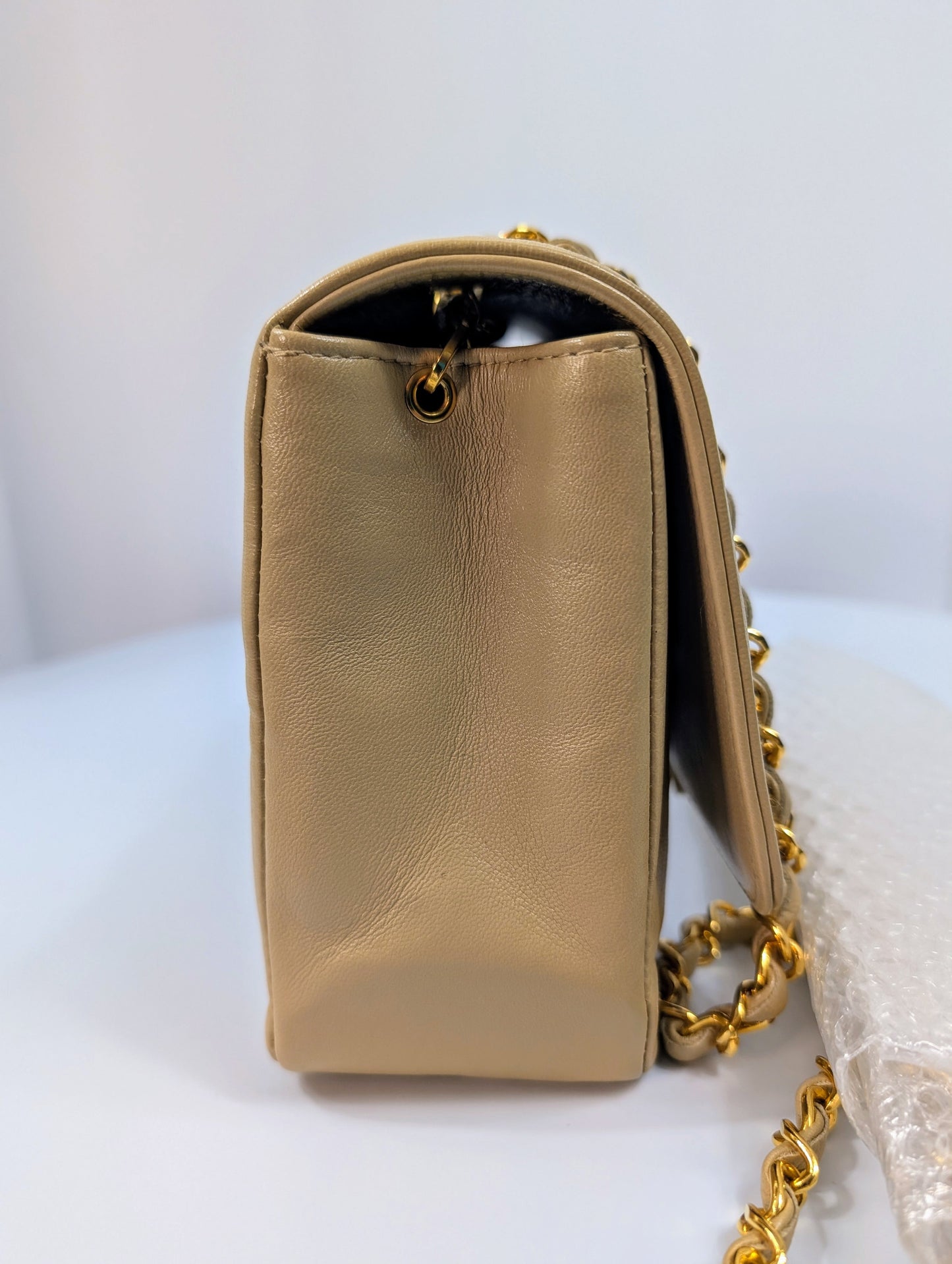 Chanel   (1 series) Beige Classic Early Diana Single Flap Bag