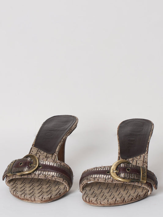 Dior Slide Buckle Sandal