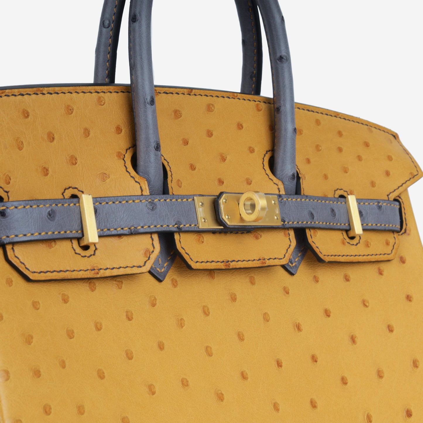 HSS Birkin 25 - Ostrich