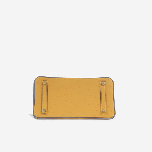 HSS Birkin 25 - Ostrich