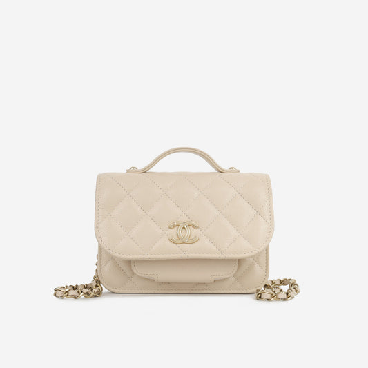 Mini Business Affinity Clutch on Chain