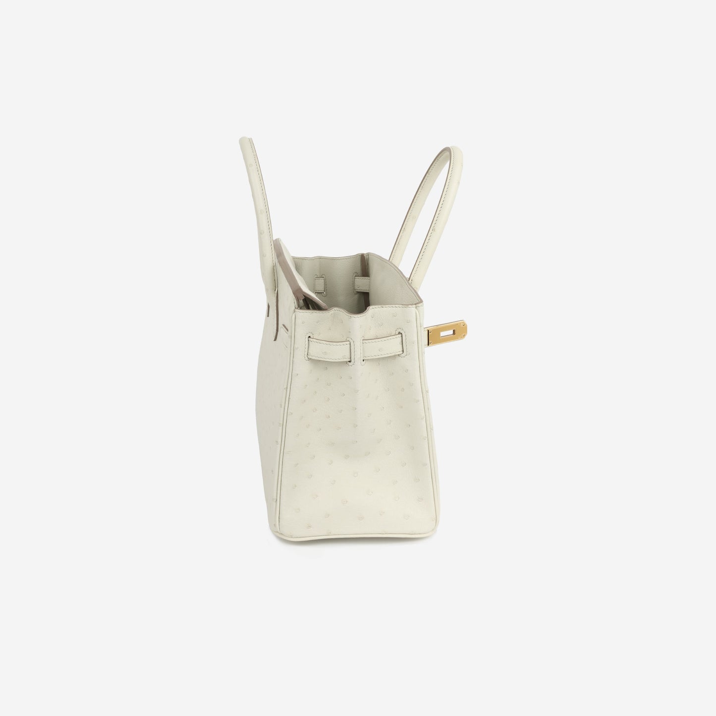 Birkin 30