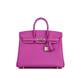 Hermes Birkin 25 Verso Magnolia Capucine Novillo Leather Palladium Hardware