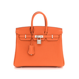 Luxury Hermes Birkin 25 Orange Togo Palladium Hardware