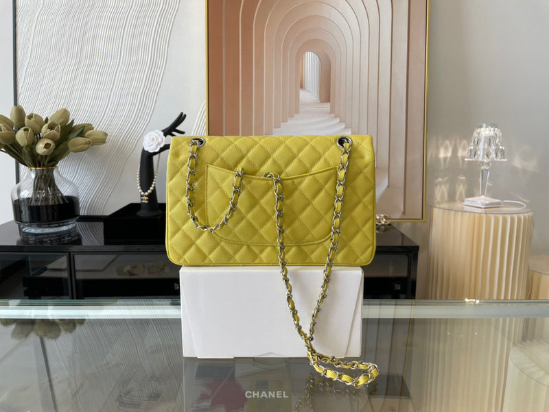 Amelia- CHL Bags - 6691