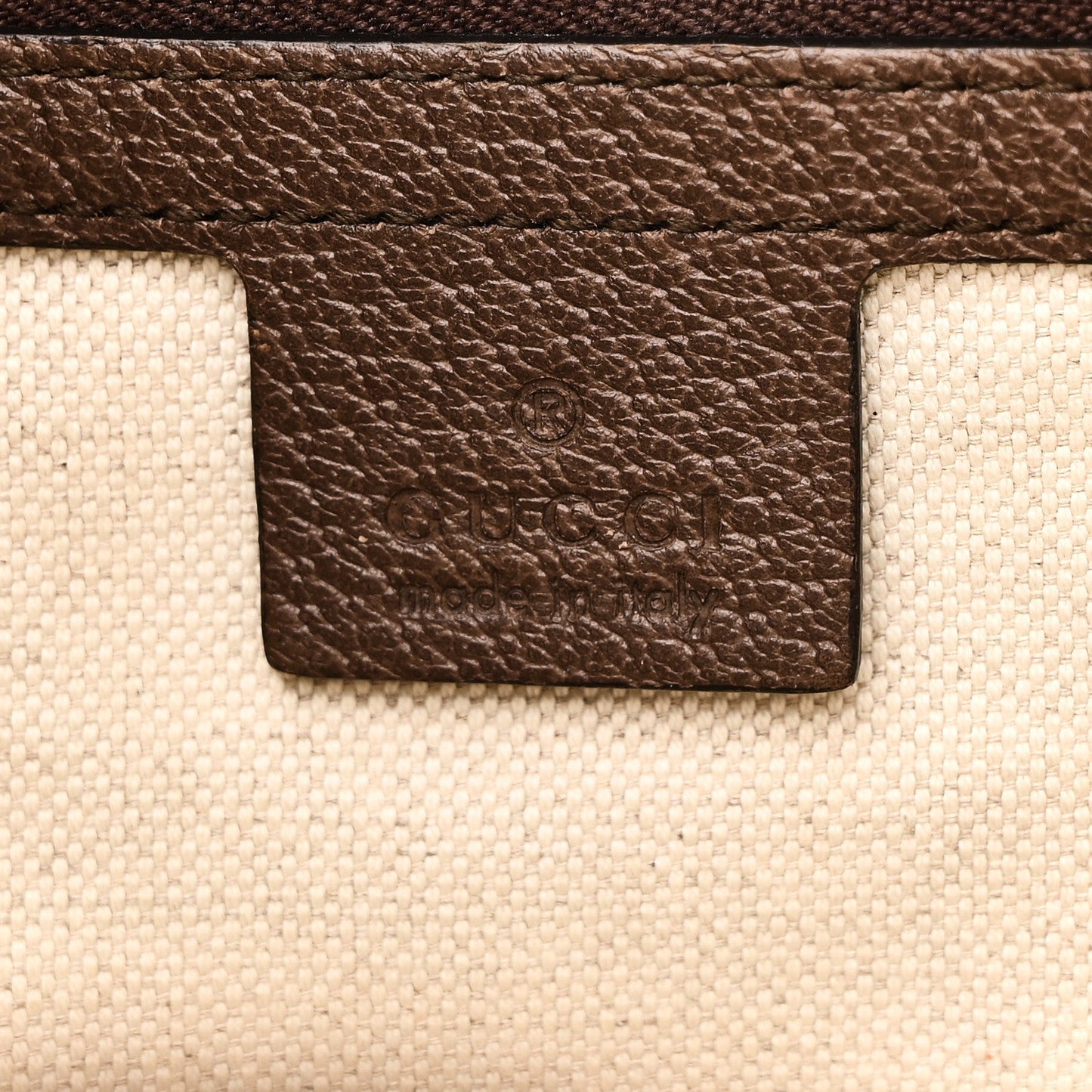 Amelia GG Supreme Monogram Web Small Ophidia Half Moon Hobo Brown