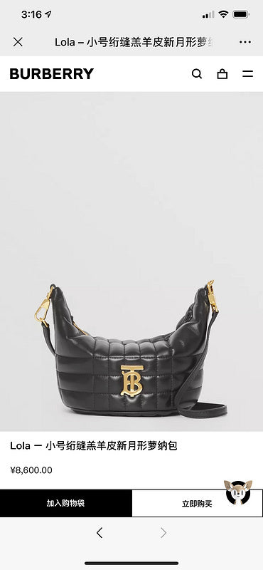 B-Berry Bags - Women Ameliave Luxury Bags - 783