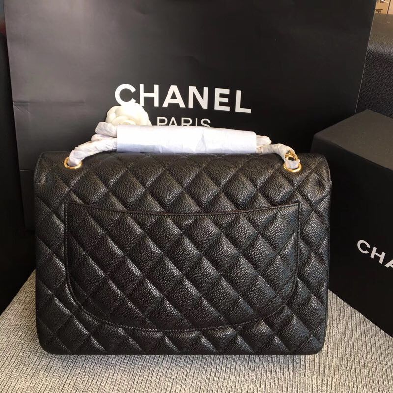 Amelia - CHL Lady Bags - 603