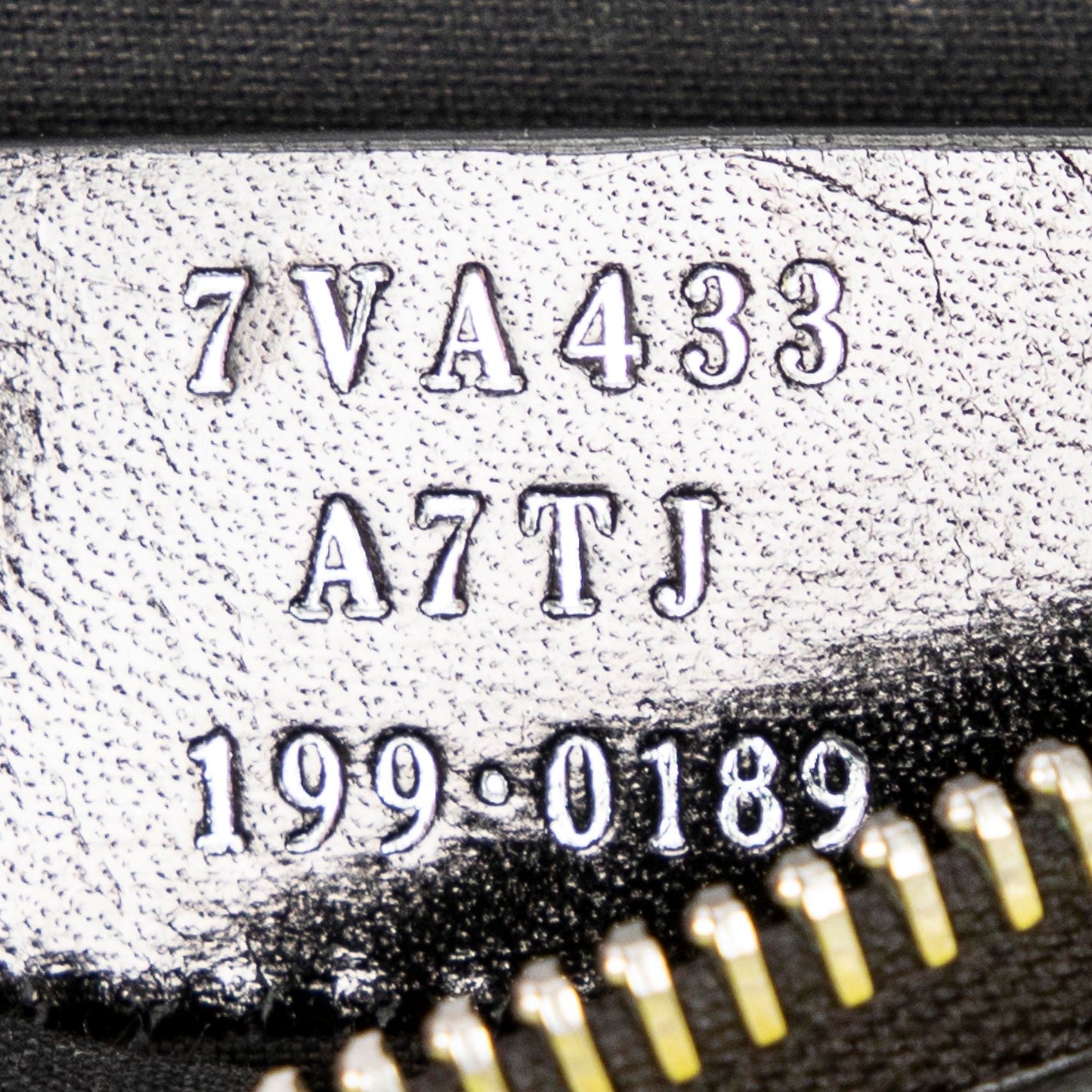 Monster Eye Document Zip Clutch