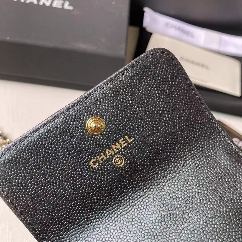 Amelia- CHL Bags - 6211