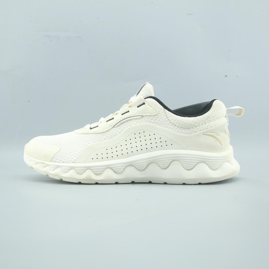 ANTA .