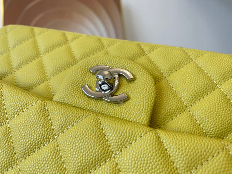Amelia- CHL Bags - 6691