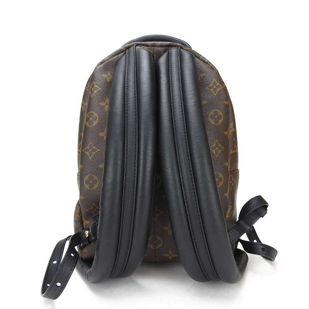 Louis Vuitton Rucksack Palm Springs Backpack PM Monogram