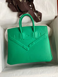 Amelia - HMS Bags - 2222