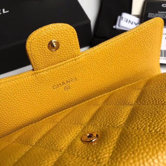 Amelia- CHL Bags - 6222