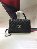 Amelia- CHL Bags - 6734