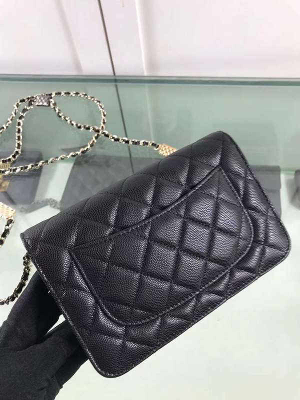 Amelia- CHL Bags - 6449