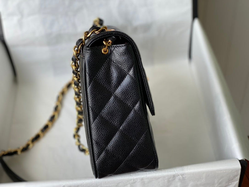 Amelia - CHL Lady Bags - 560
