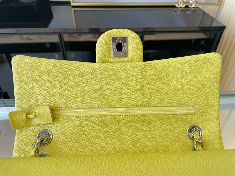 Amelia- CHL Bags - 6691